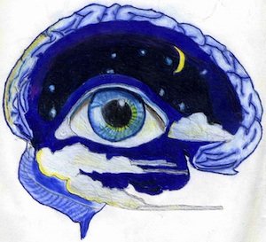 La mente vede attraverso gli occhi